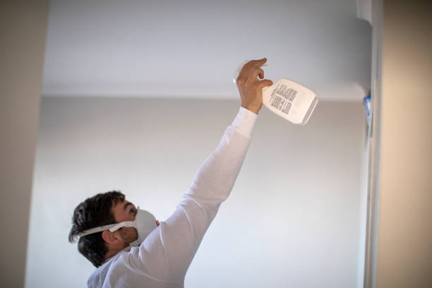 Best Black Mold Removal  in Orion, IL