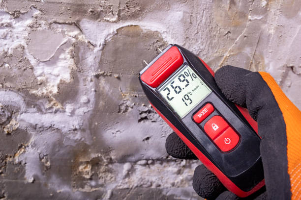 Crawl Space Mold Removal in Orion, IL