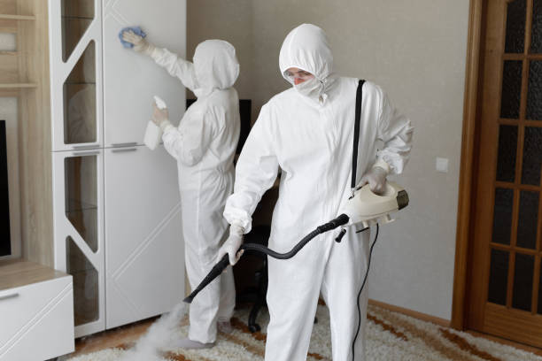 Best Crawl Space Mold Removal  in Orion, IL