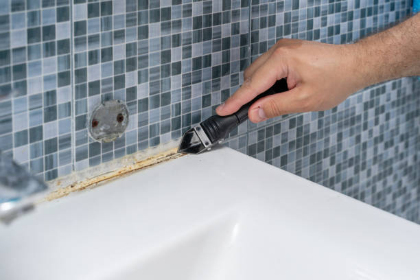 Best Mold Removal Company Near Me  in Orion, IL