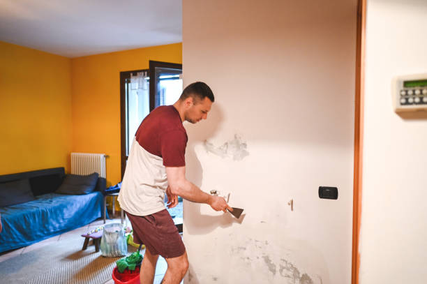 Best Attic Mold Removal  in Orion, IL